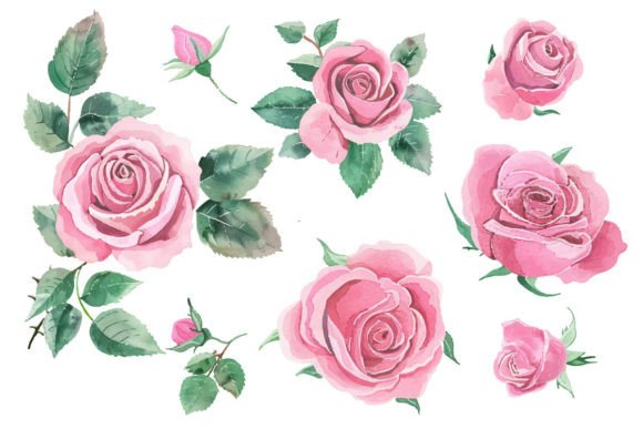 Strategic Applications of Watercolor Rose Flower Hand Painting for Brand and Creative Growth